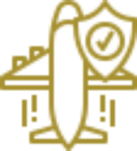 Airplane icon with emblem